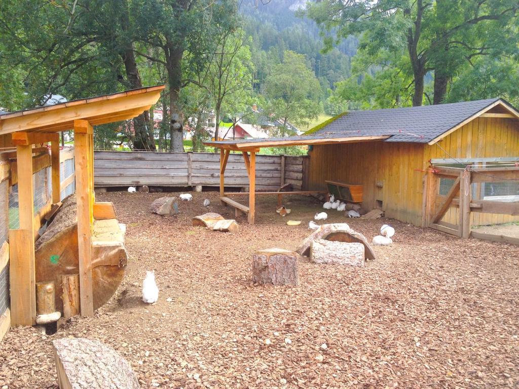 Kinderhotel Appelhof Murzsteg Екстер'єр фото