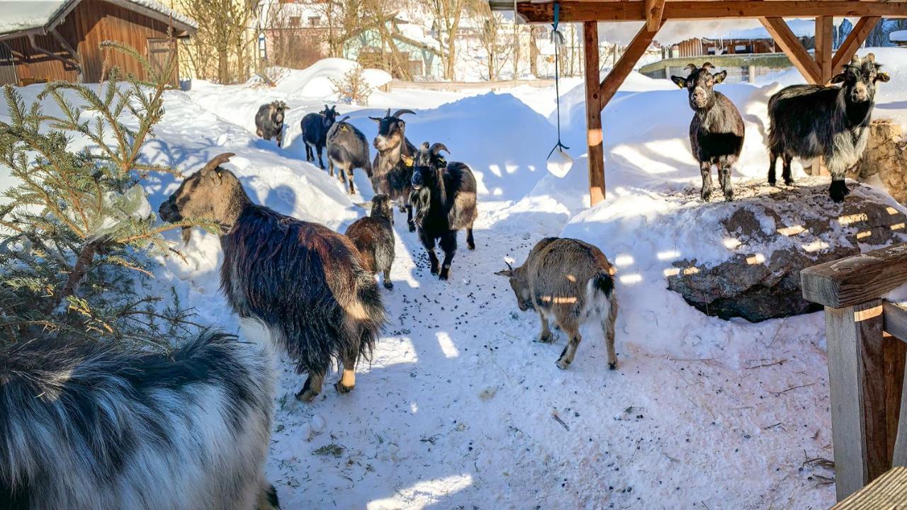 Kinderhotel Appelhof Murzsteg Екстер'єр фото