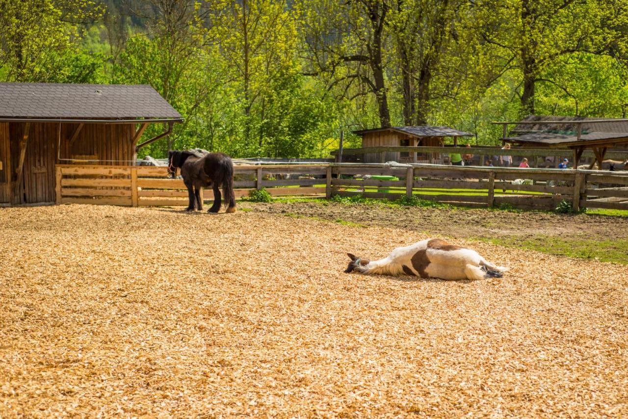 Kinderhotel Appelhof Murzsteg Екстер'єр фото